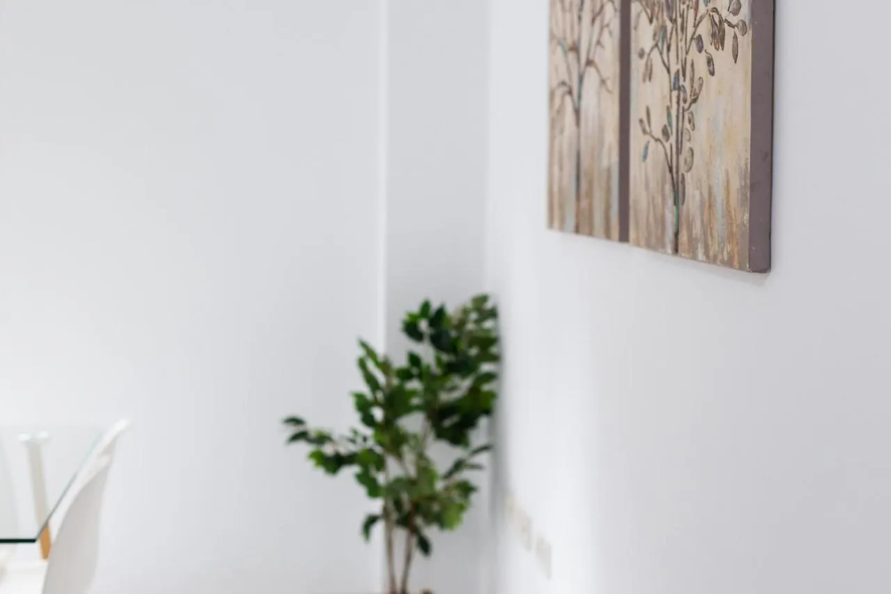 Grace Apartments - 3 Bedroom City Centre Granada Spain